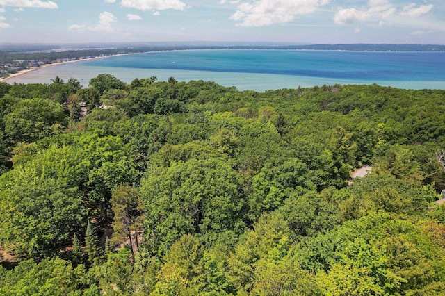 4513 Weathering Heights Rd, Traverse City, MI 49686