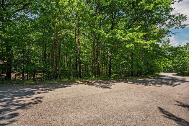4513 Weathering Heights Rd, Traverse City, MI 49686