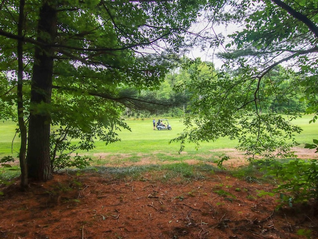 000-UNIT35 Trailside Cir N, Thompsonville, MI 49683 - photo 1
