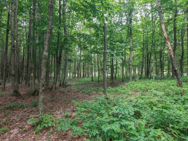 000-UNIT35 Trailside Cir N, Thompsonville, MI 49683 - photo 11
