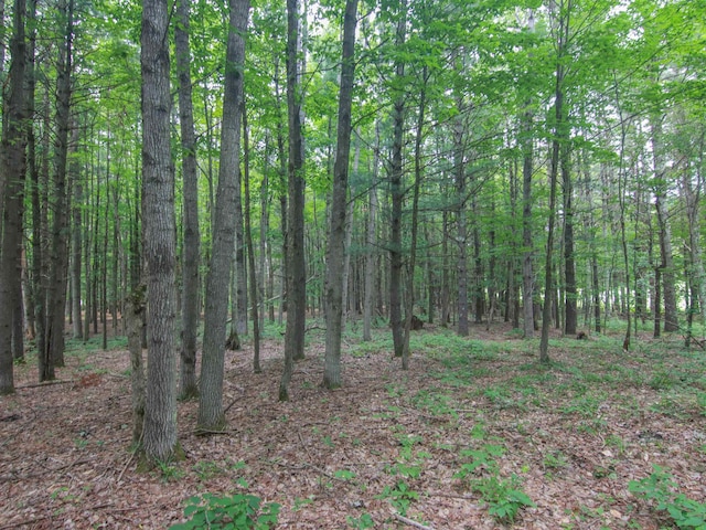000-UNIT35 Trailside Cir N, Thompsonville, MI 49683 - photo 12