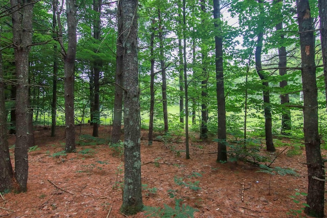 000-UNIT35 Trailside Cir N, Thompsonville, MI 49683 - photo 14