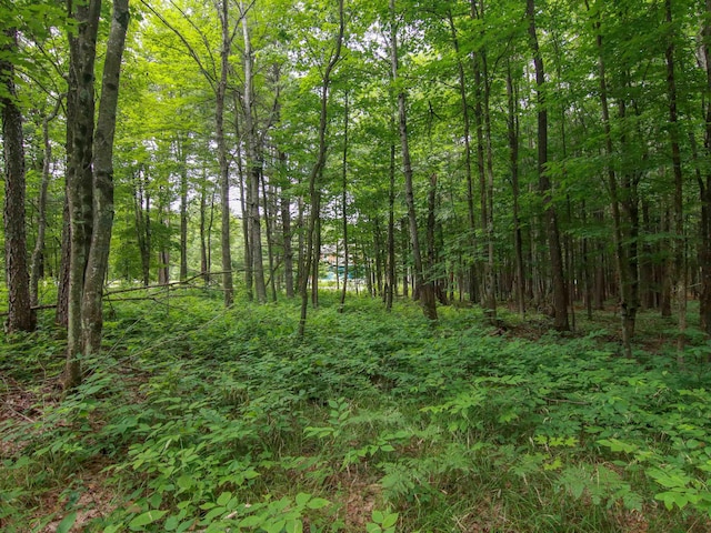 000-UNIT35 Trailside Cir N, Thompsonville, MI 49683 - photo 16