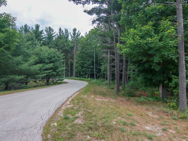 000-UNIT35 Trailside Cir N, Thompsonville, MI 49683 - photo 17