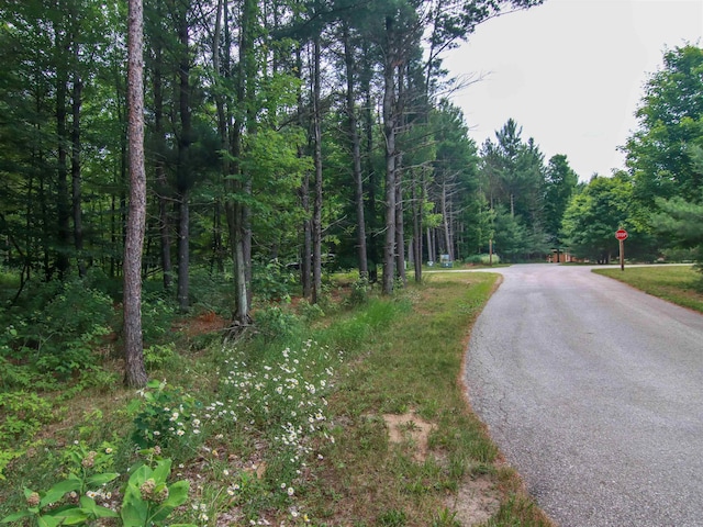 000-UNIT35 Trailside Cir N, Thompsonville, MI 49683 - photo 18