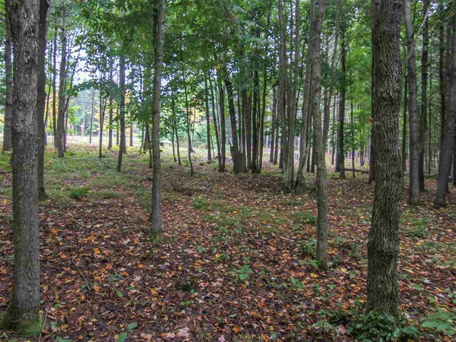 000-UNIT35 Trailside Cir N, Thompsonville, MI 49683 - photo 8