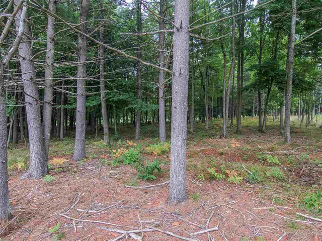 000-UNIT35 Trailside Cir N, Thompsonville, MI 49683 - photo 10