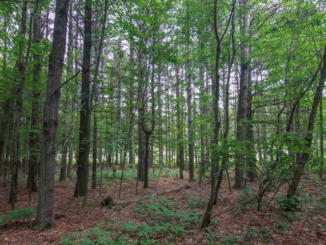 000-UNIT35 Trailside Cir N, Thompsonville, MI 49683 - photo 13