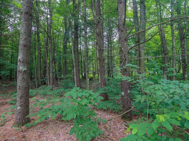 000-UNIT35 Trailside Cir N, Thompsonville, MI 49683 - photo 15