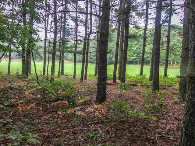 000-UNIT35 Trailside Cir N, Thompsonville, MI 49683 - photo 2