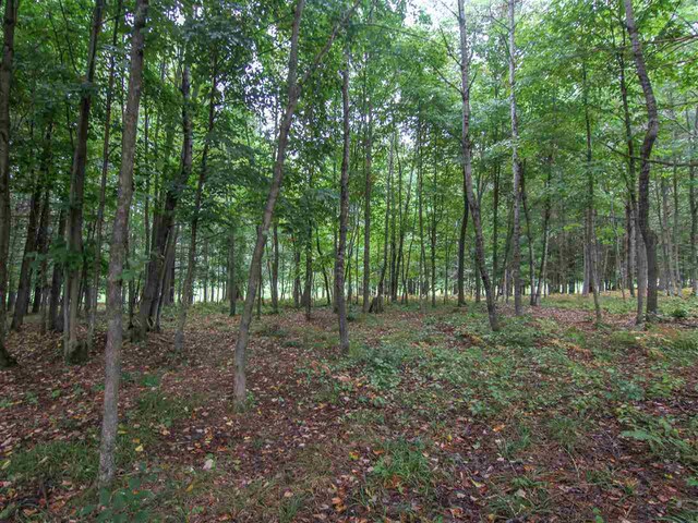 000-UNIT35 Trailside Cir N, Thompsonville, MI 49683 - photo 9
