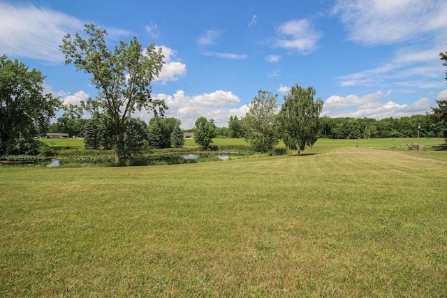 17787 Indian Prairie Rd, White Pigeon, MI 49099 - photo 9