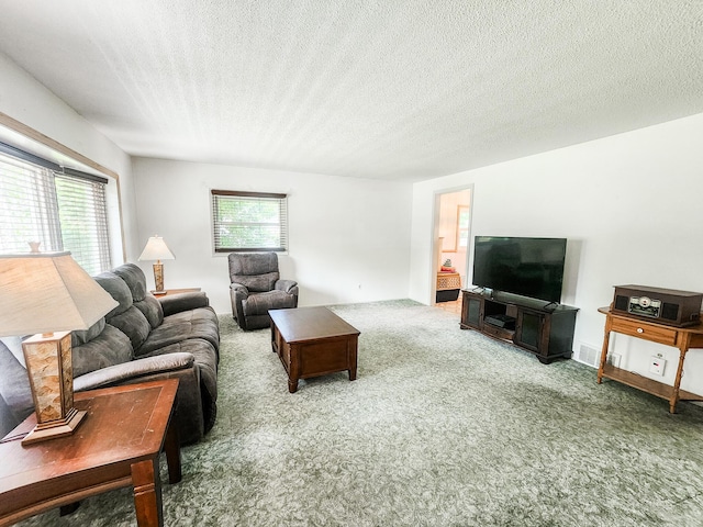 671 Lonesome Pine Trl, Saint Joseph, MI 49085 - carpeted living area featuring a textured ceiling