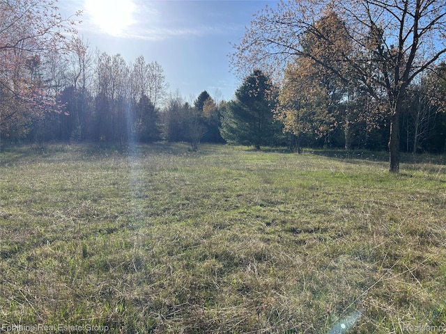 1542 Gerald Miller Rd, Prescott, MI 48661 - photo 5
