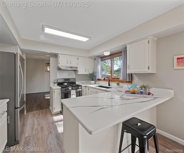 25067 Skye Dr, Farmington Hills, MI 48336 - kitchen with stainless steel appliances, a peninsula, under cabinet range hood, white cabinetry, and light countertops