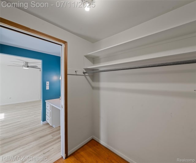 25067 Skye Dr, Farmington Hills, MI 48336 - walk in closet featuring light wood-style flooring and ceiling fan