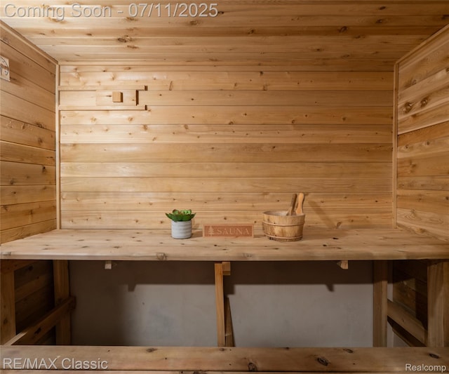 25067 Skye Dr, Farmington Hills, MI 48336 - sauna / steam room with wooden walls and wood ceiling