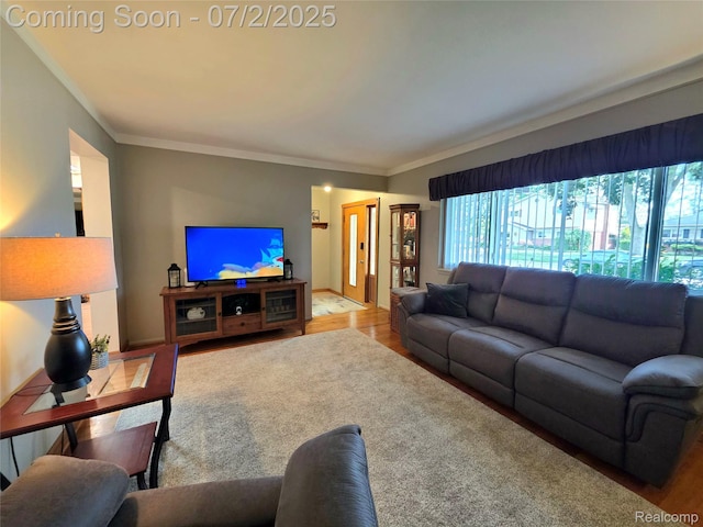 12137 Carol Ave, Warren, MI 48093 - living area with plenty of natural light, crown molding, and wood finished floors