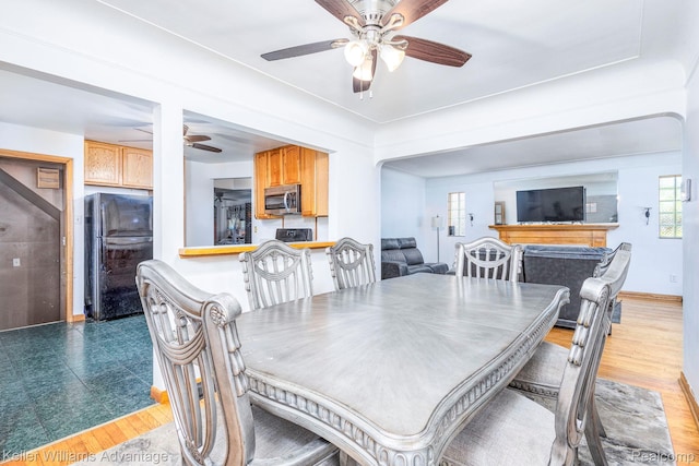 17237 Philomene Blvd, Allen Park, MI 48101 - dining room featuring ceiling fan, plenty of natural light, and light wood-style floors