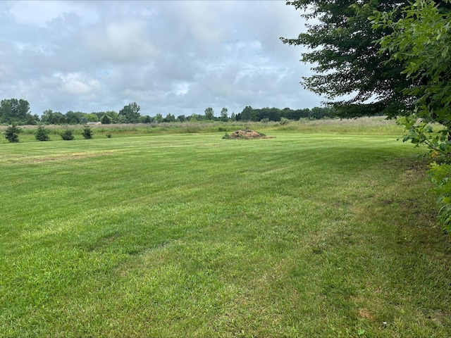 9670 Sayers Rd, Munith, MI 49259 - view of grassy yard