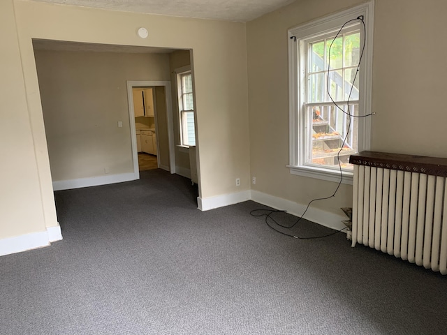 417 Oak St, Kalamazoo, MI 49007 - unfurnished room featuring dark colored carpet and radiator heating unit