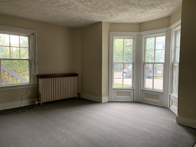 417 Oak St, Kalamazoo, MI 49007 - unfurnished room with radiator, a textured ceiling, carpet floors, and healthy amount of natural light