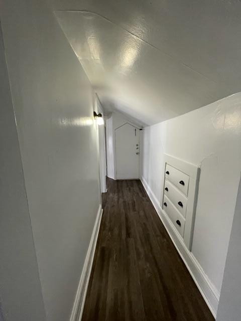 417 Oak St, Kalamazoo, MI 49007 - hall with vaulted ceiling and dark wood-style flooring