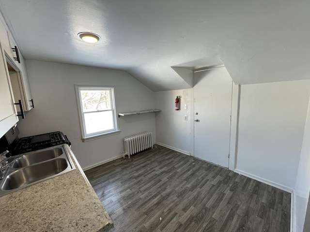 417 Oak St, Kalamazoo, MI 49007 - additional living space with radiator, dark wood-type flooring, and vaulted ceiling