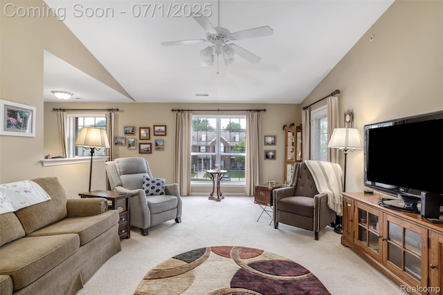 26952 Carrington Pl, Harrison Township, MI 48045 - photo 11