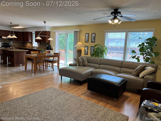 38443 Meghan Ln, Westland, MI 48185 - living room featuring a ceiling fan, a textured ceiling, and light wood-type flooring