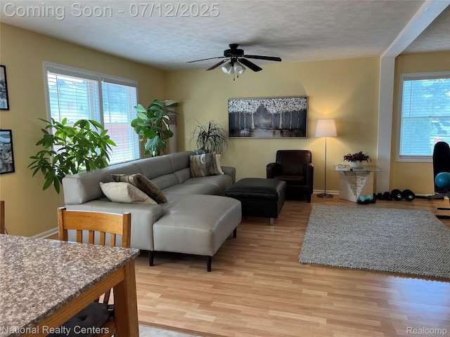 38443 Meghan Ln, Westland, MI 48185 - living room featuring healthy amount of natural light, light wood-style flooring, a ceiling fan, and a textured ceiling