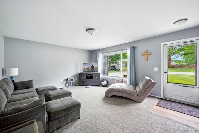 803 S Dayton St, Davison, MI 48423 - carpeted living room featuring plenty of natural light