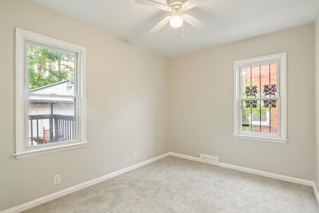 19331 Annchester Rd, Detroit, MI 48219 - photo 29