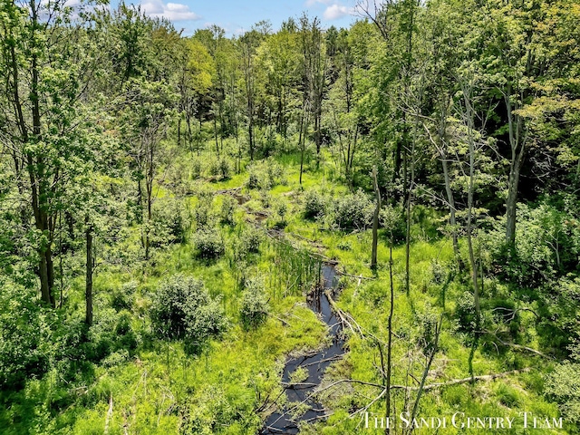 13400 Ravine View Dr, Grand Haven, MI 49417 - view of woods