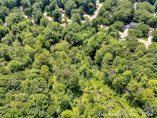 13400 Ravine View Dr, Grand Haven, MI 49417 - aerial view of a forest