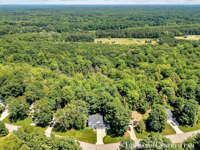13400 Ravine View Dr, Grand Haven, MI 49417 - aerial view of a heavily wooded area