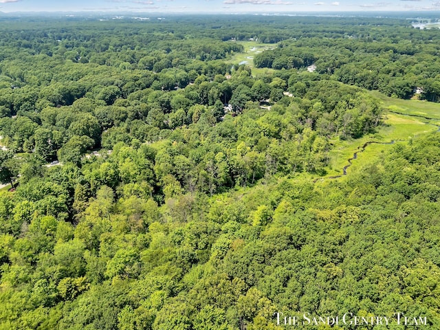 13400 Ravine View Dr, Grand Haven, MI 49417 - drone / aerial view of a forest