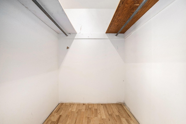 3345 Harmony Rd, Hopkins, MI 49328 - walk in closet with light wood finished floors
