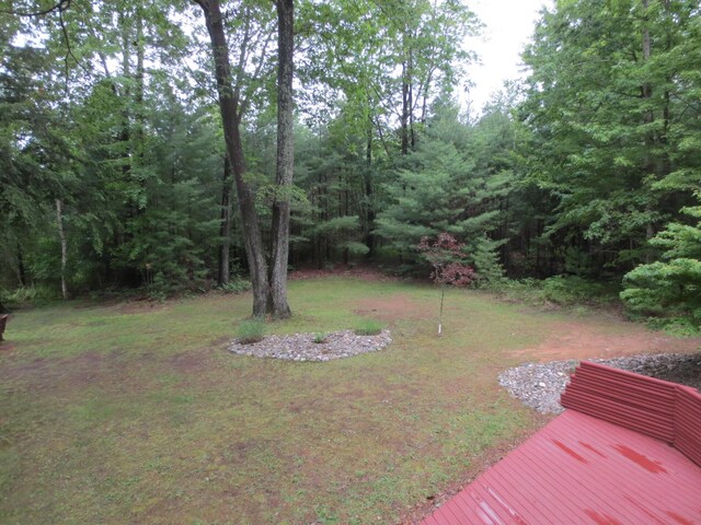 6325 Big Bay Rd, Bear Lake, MI 49614 - view of yard