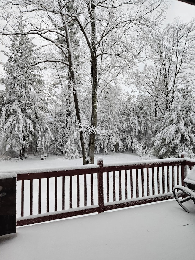 6325 Big Bay Rd, Bear Lake, MI 49614 - view of snow covered deck