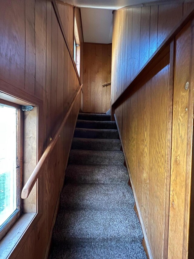 611 Steward Ave, Jackson, MI 49202 - stairs featuring wooden walls and carpet
