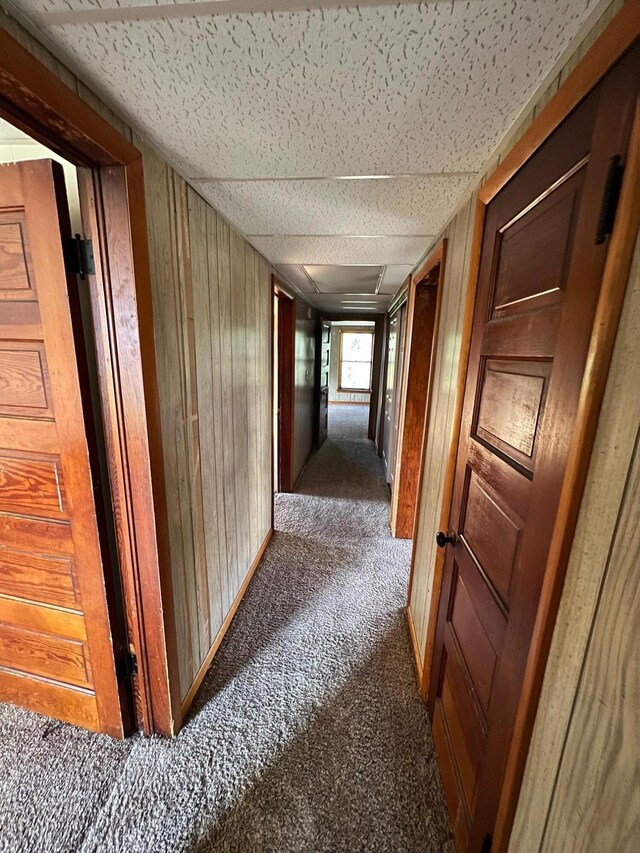 611 Steward Ave, Jackson, MI 49202 - corridor featuring carpet floors, a drop ceiling, and wooden walls