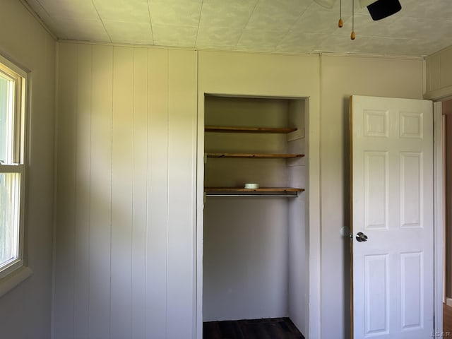 6143 Shepherd Rd, Adrian, MI 49221 - view of closet