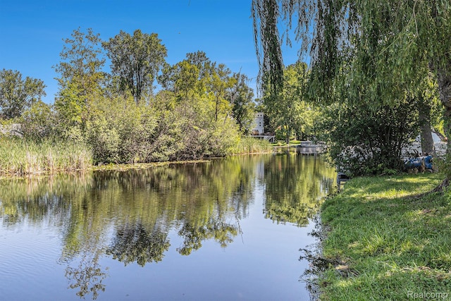 2145 Helmsford Dr, Wolverine Lake, MI 48390 - water view