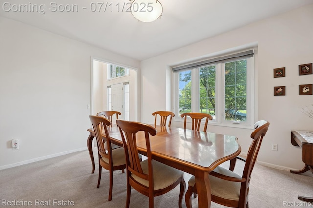 47451 Wallingford Ct, Canton, MI 48188 - dining room featuring healthy amount of natural light and light carpet