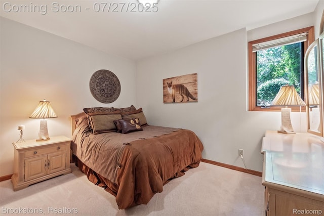 470 Aarons Way, Ortonville, MI 48462 - photo 30