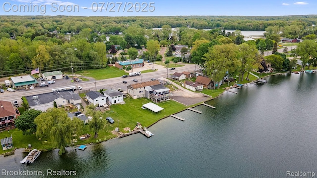 470 Aarons Way, Ortonville, MI 48462 - photo 58