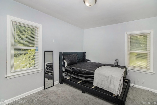 13576 Warwick St, Detroit, MI 48223 - carpeted bedroom with multiple windows