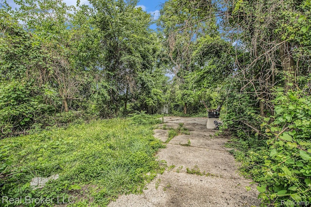 13576 Warwick St, Detroit, MI 48223 - view of yard