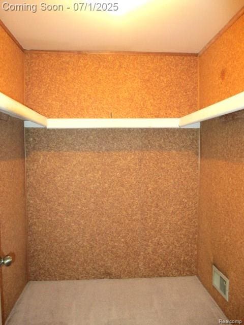 2667 Williamsburg Cir, Auburn Hills, MI 48326 - view of storage